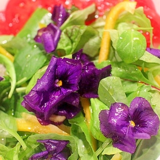 【簡単おもてなし】エディブルフラワーで花咲くサラダ
